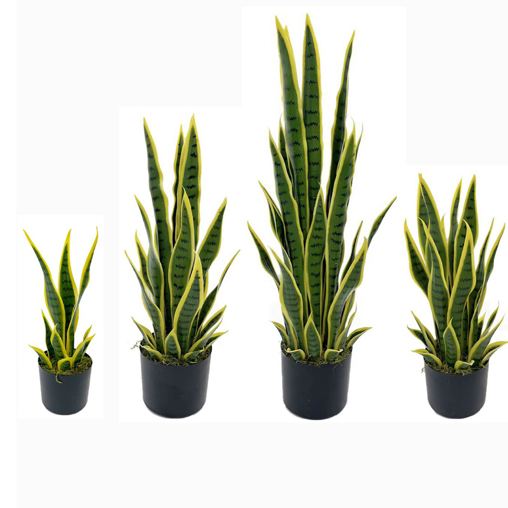 Ficus Lyrata Tree - Pianta Artificiale Sansevieria (Serpentina) 40-100cm con