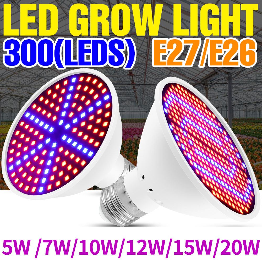 Lampada LED a spettro completo - Echeveria Succulent recensione e prezzo