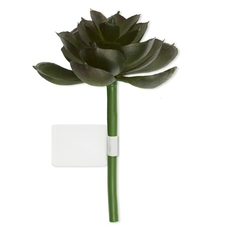 Pianta Succulenta Artificiale  - Echeveria Succulent recensione e prezzo