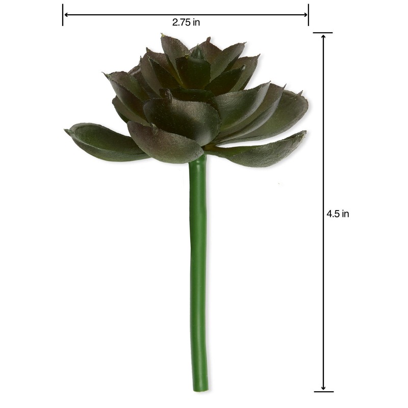 Pianta Succulenta Artificiale  - Echeveria Succulent recensione e prezzo