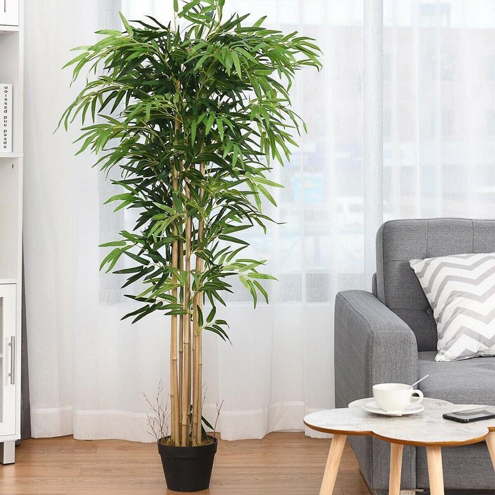 10 pezzi di foglie di bambù ve - Ficus Lyrata Tree recensione e prezzo