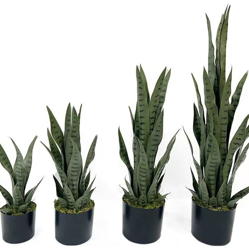 Pianta Artificiale Sansevieria - Ficus Lyrata Tree recensione e prezzo