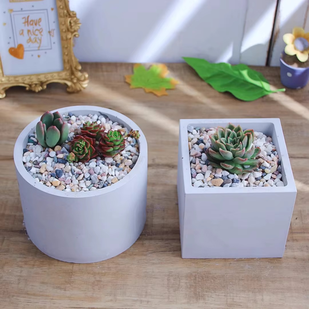 Stampo in Silicone per Vaso di - Echeveria Succulent recensione e prezzo