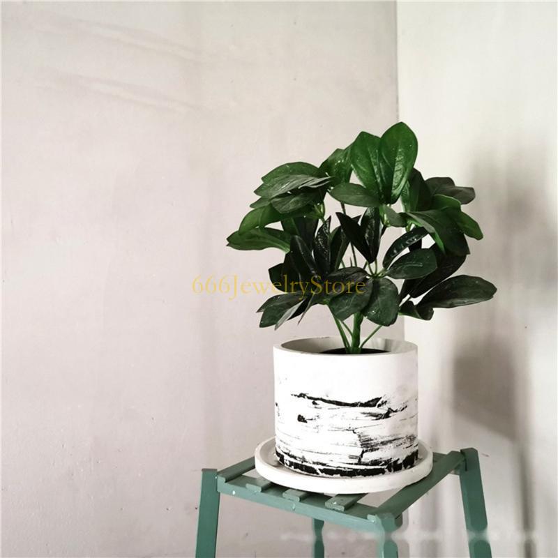 F2TD Modello in gesso in gesso - Echeveria Succulent recensione e prezzo