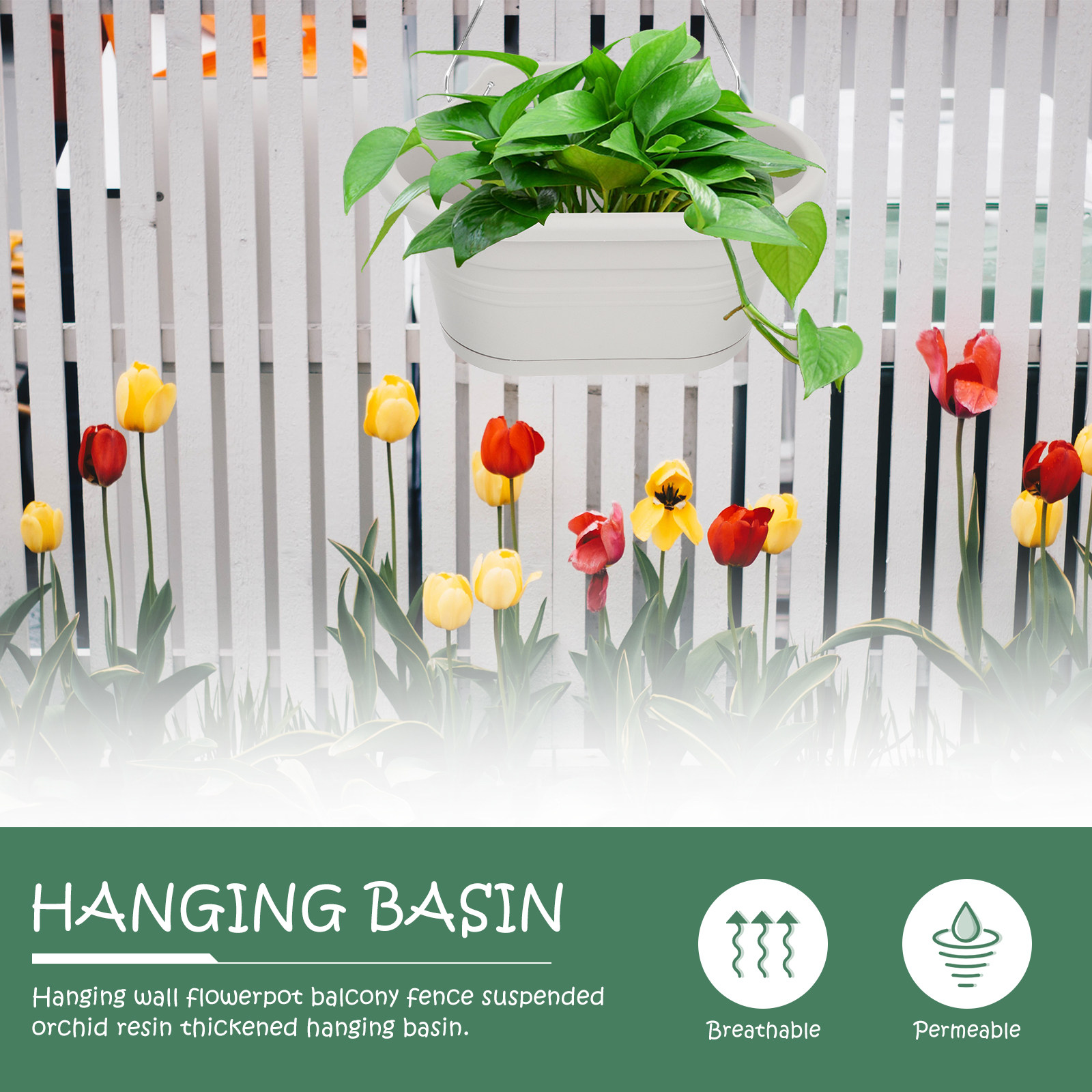 Set di vasi da parete per pian - Spider Plant Hanging recensione e prezzo
